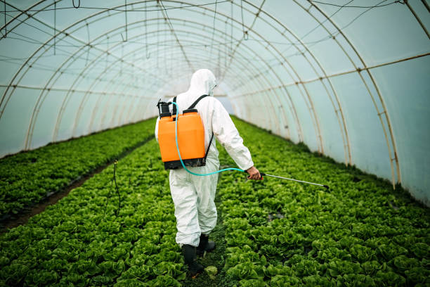 Professional Pest Control in Emmitsburg, MD