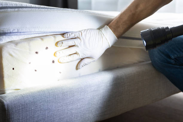 Best Cockroach Control Services  in Emmitsburg, MD