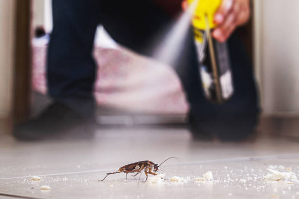 Best Wasp Removal Services  in Emmitsburg, MD
