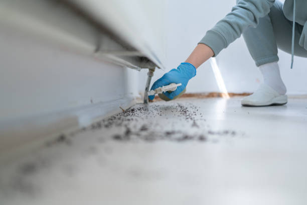 Best Commercial Pest Control Services  in Emmitsburg, MD