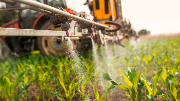 Best Mosquito Control Services  in Emmitsburg, MD