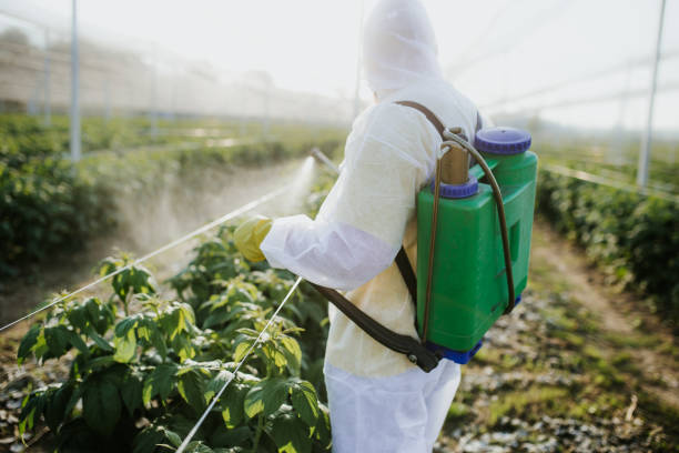 Best Ant Control Services  in Emmitsburg, MD